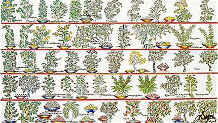 藏藥材資源分布、發(fā)展史